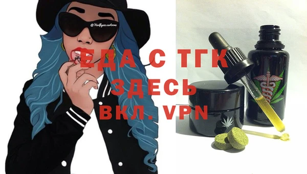 индика Надым