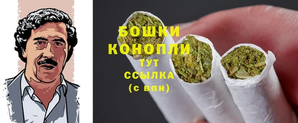 индика Надым