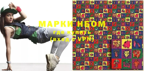 индика Надым