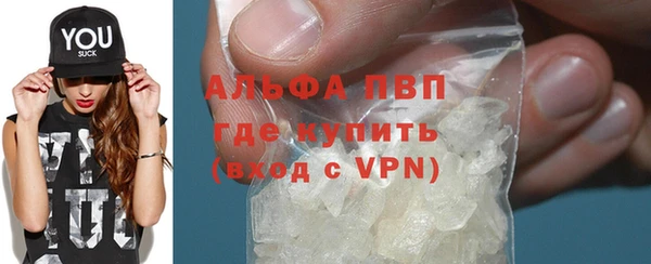 индика Надым