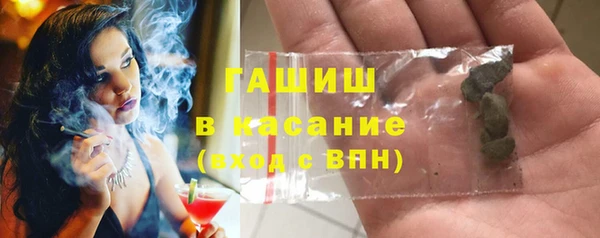 индика Надым