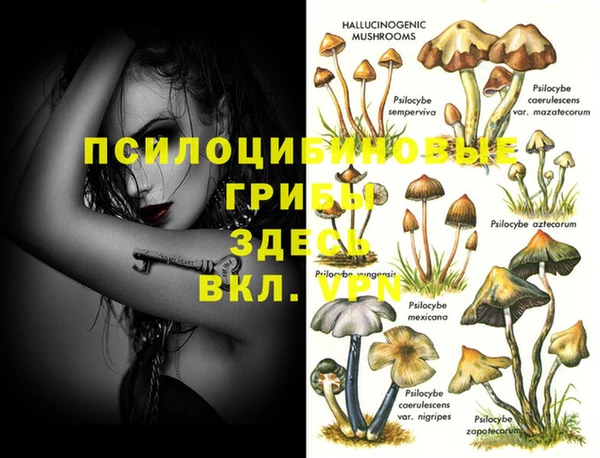 индика Надым