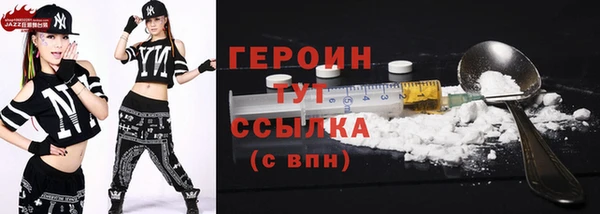 индика Надым