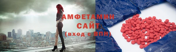 индика Надым