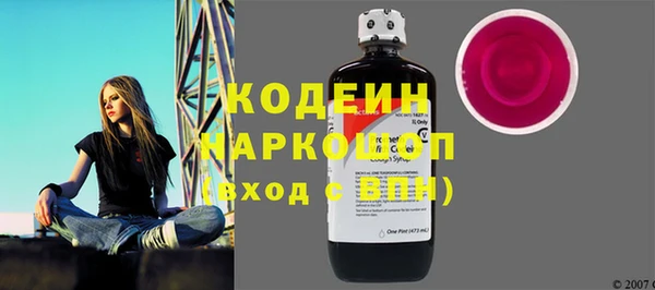 индика Надым
