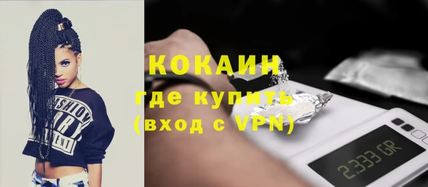 индика Надым