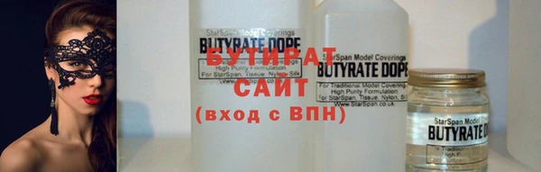 индика Надым