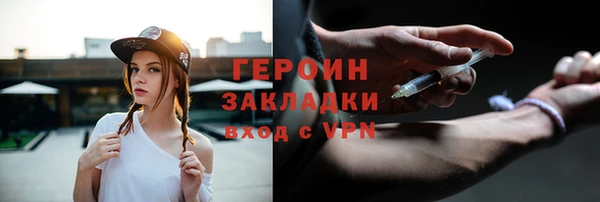 индика Надым