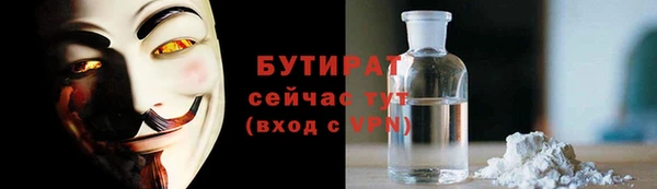 индика Надым