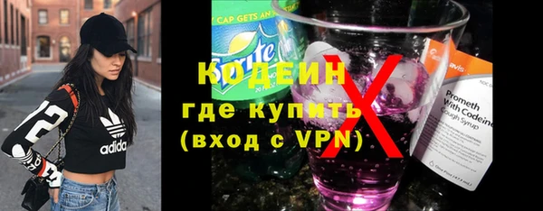 индика Надым
