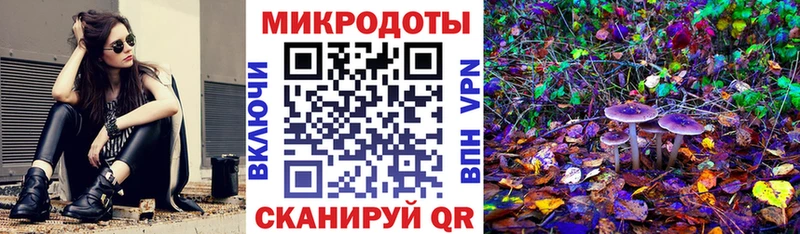 Галлюциногенные грибы Magic Shrooms  Купить где  Нелидово 